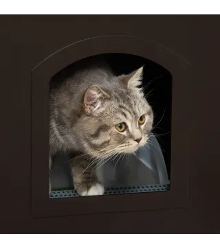 Casa para Gatos