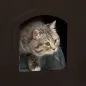 Casa para Gatos