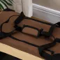 Transportín para Mascotas