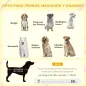 Caseta para Perros