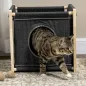 Caseta para Gatos