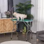 Mesa de Aseo para Mascotas