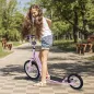 Patinete Scooter