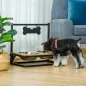 Comedero para Perros Elevado