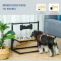 Comedero para Perros Elevado