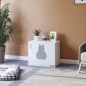 Arenero de Gatos