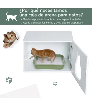 Arenero de Gatos