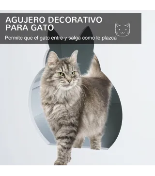 Arenero de Gatos
