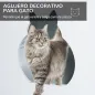 Arenero de Gatos
