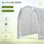 Invernadero de Túnel