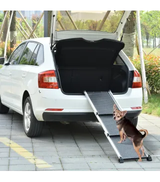 Rampa para Mascotas