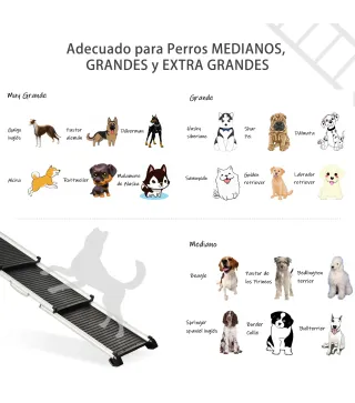 Rampa para Mascotas