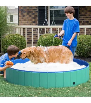 Piscina para Mascotas
