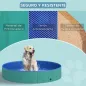 Piscina para Mascotas