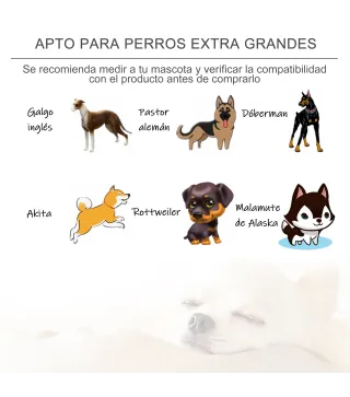 Cama Elevada para Mascotas