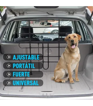 Separador Coche para Perro