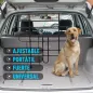 Separador Coche para Perro