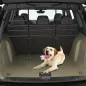 Separador Coche para Perro