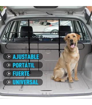 Separador Coche para Perro