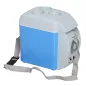 Nevera Termoeléctrica Portátil