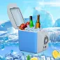 Nevera Termoeléctrica Portátil