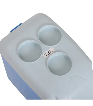 Nevera Termoeléctrica Portátil
