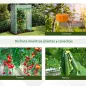 Invernadero para Tomates
