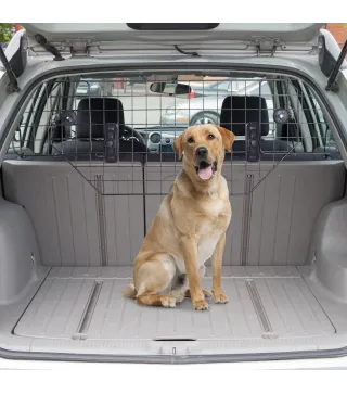 Separador Coche para Perro