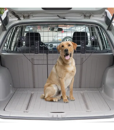 Separador Coche para Perro