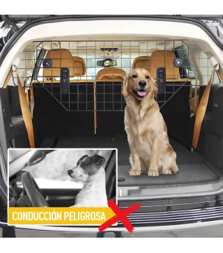 Separador Coche para Perro