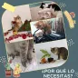Árbol para Gatos Árbol para Gatos