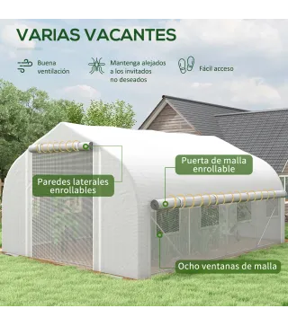 Invernadero de Túnel