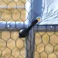 Gallinero