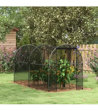 Jaula de Cultivo