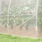Invernadero de Túnel