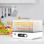 Deshidratador de Alimentos