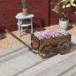 Jardinera Jardinera