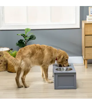 Comedero para Perros