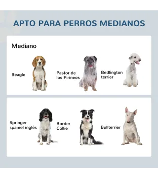 Comedero para Perros