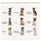 Jaula para Perros