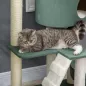 Árbol para Gatos
