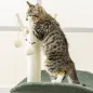 Árbol para Gatos