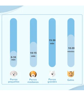 Secador para Mascotas