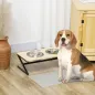 Comedero para Perros