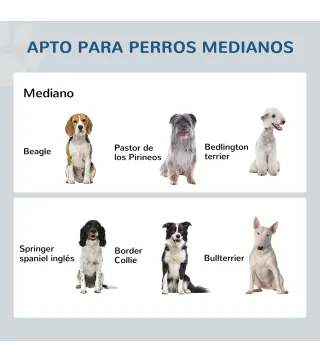 Comedero para Perros