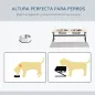 Comedero para Perros
