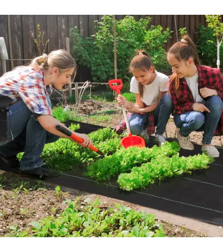 Malla Geotextil 2x25 m Malla de Jardín contra Malas Hierbas 60 g/m² Rollo de Malla Antimaleza Negro