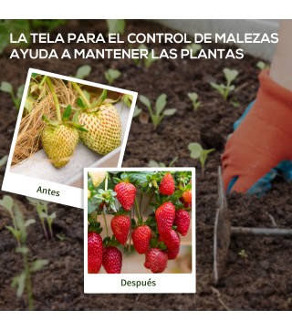 Malla Antimaleza