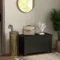 Baúl de Almacenaje con Tapa Baúl de Almacenaje Versátil con Bisagra de Seguridad para Pasillo Salón 81x40x46 cm Negro