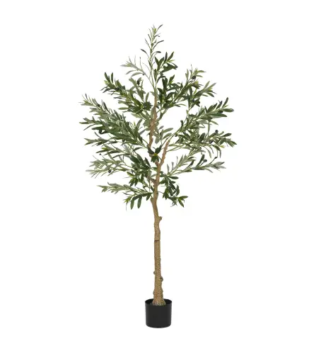 Olivo Artificial
